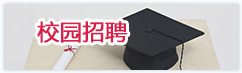校园招聘